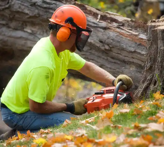 tree services Carthage